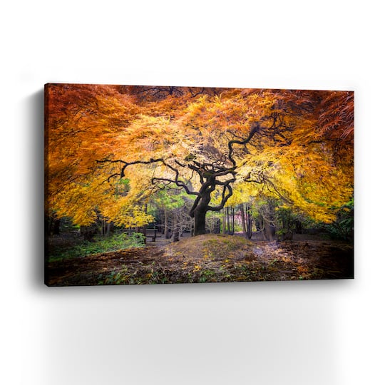 Hidden Jewel Canvas Giclee